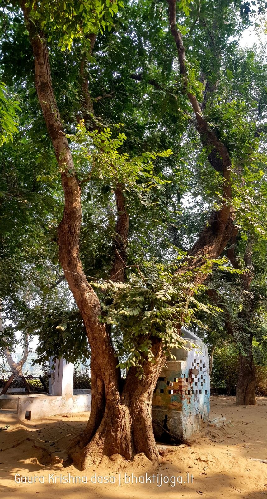  Varshana parikrama and preaching. 2019.12.10